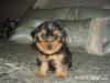 SHOCKED...Maxx May Not Have Died!!  Scammed!?!-may-25-05-maxwellsmall.jpg