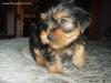 SHOCKED...Maxx May Not Have Died!!  Scammed!?!-max5.jpg