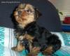 SHOCKED...Maxx May Not Have Died!!  Scammed!?!-max2.jpg
