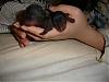 lulu just gave birth-dsc00943.jpg