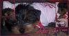 The UNofficial YorkieTalk Look-Alike Contest-allie-jo-hoodie.jpg