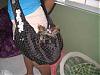 Show off your purse pics!!!!-bellapurse3.jpg