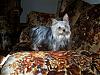 Bed Heads-100_0315.jpg