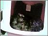 Brush Creek Kennel Investigation-160271547397_3300.jpg