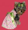im making a yorkie wallpaper...-tinkytutti.jpg
