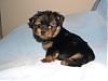 Should I Get This Male Or Female?look!-newbabycaddo0143.jpg