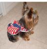 4th of July outfits for my furbabies! PICS :)-boy4july.jpg