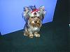 What The Akc Judge Said About Peeka!-s4010050c.jpg