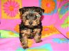 OHHH DAISY23, I think your going to want to see this !!!!!-meiahs-baby-7weeks-old-001.jpg