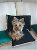 Lilo got great review from the AKC judge!!!-year-2006-19.jpg