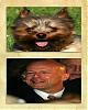 What Celebrity Does Your Yorkie Look Like?-eddiebrucewillis.jpeg