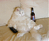 Before this site, I never knew that...-catmanimage1..gif