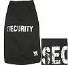 Websites for the BOYS-security1.jpg
