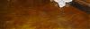 Anyone replaced carpeting with hardwood because of dogs?-021407-008-2-.jpg