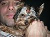 Let See Your "Big Men with Little Yorkie" Pictures!-tommy-ralfie.jpg