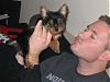 Let See Your "Big Men with Little Yorkie" Pictures!-izzie-003.jpg