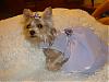 Tinkerbell in her Lavender dress, I made it today!!!-picture-2794.jpg