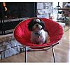 Doggie chair-redbed.jpg