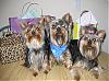 Triplets 1st Birthday party!!!-pups-first-birthday.jpg