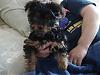 Updated pics 7 weeks-dsc00044.jpg