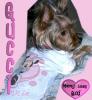Pics of Gucci with her new Baby shirt-gucci-minnie-shirt-3.jpg