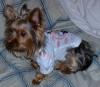 Pics of Gucci with her new Baby shirt-gucci-minnie-shirt.jpg