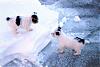 Harlie and Hallie in the snow.-snow-babies.jpg