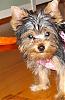 Wittle KC-kcs-first-pics-078.jpg