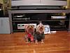 new pics of my babes Chowie and Lowie-pets-017-medium-.jpg