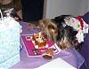 Maddie, Lillie, and Hailee's Big Day..Lots of Pics-birthday7.jpg