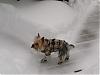 Jaxon's fun in the snow!-catching-snowflakes_mar17.jpg