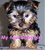 Here is my new baby girl!!-baby-gilr.jpg