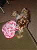 Zoey Modeling her Sissyangelwear!-cherry-nightie2.jpg