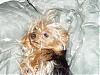 Funny Yorkie Pictures!-bad-hair-bed-louie-funny-eyes-450-x-338-.jpg