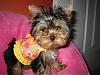 Tatum is ready for Spring! Thank you Missy-12-768-x-576-.jpg