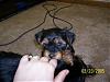 photos of my scrappy doo!-boy4.jpg