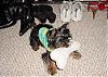 Jaden and Jewelina in their new spring Hoodies!-jewelinaplayingwithbone.jpeg