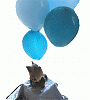 3rd Birthday Pics, another yr with my baby!-3rdbdaycookballoon-copy.gif