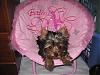 Look what Mommy got for us !!!-img_0519.jpg