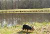 pictures of maggie outside-maggie-lake.jpg