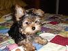 What do ya'll think (I may get her...)-dsc00379-small-.jpg