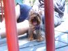 Gucci pics at the park for her BD-gucci-park-her-bd5.jpg