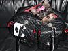 Ur pups in carriers :) plz post pics-jewelinainchanelbag.jpeg