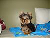 Check out little Coby in Chicago!!!-101_0003.jpg