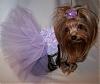 Princess Pia & Trixie Bear modeling their new dresses from Tinkerbell's closet!!-41-534-x-450-.jpg