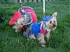 Wrigley & Crosley are ready for baseball's opening day!!-02050003_3.jpg