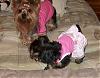 Here's Libby and Maddie-hpim2869.jpg