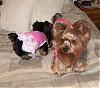 Here's Libby and Maddie-hpim2871.jpg