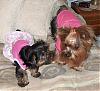 Here's Libby and Maddie-hpim2872.jpg