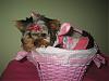 Tatum Is Mommy's Little PINK EASTER BUNNY!-10.jpg